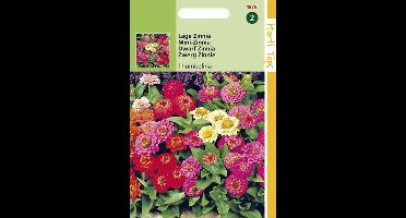Hortitops Zaden - Zinnia Thumbelina Gemengd