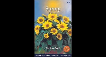 Buzzy® Sunny Flowers, Zonnebloem Pacino Gold