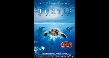 Turtle - The incredible journey (DVD)