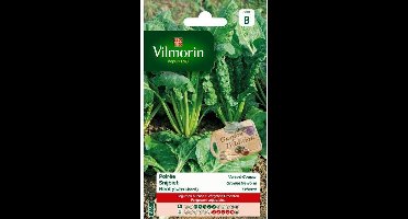 Snijbiet Groene gewone