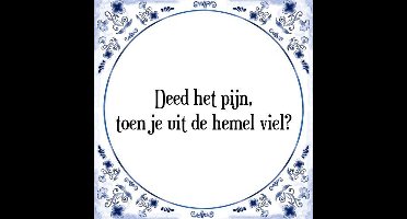 Tegeltje met Spreuk (Tegeltjeswijsheid): Deed het pijn, toen je uit de hemel viel? + Kado verpakking & Plakhanger