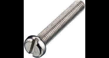 Hoenderdaal metaalschroef rvs  ck  m6 x 30 mm   din 84 a2