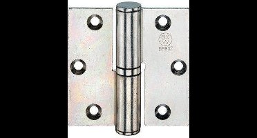 BSW hamburgerkogelpaumelle     75x  75x3 bb 807gv dr.2