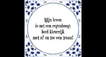Tegeltje met Spreuk (Tegeltjeswijsheid): Mijn leven is net een regenboog; heel kleurrijk met af en toe een traan! + Kado verpakking & Plakhanger