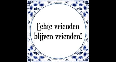 Tegeltje met Spreuk (Tegeltjeswijsheid): Echte vrienden blijven vrienden! + Kado verpakking & Plakhanger