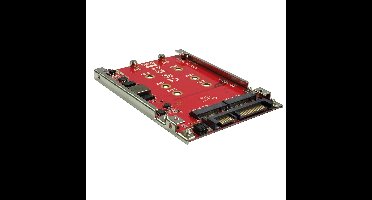 ROLINE M.2 naar SATA III SSD H/W adapter, 2x M.2 NGFF SSD, bootable en RAID compatibel.