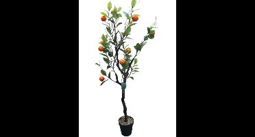 Mica Decorations kunstplant mandarijnboom H120xD50cm