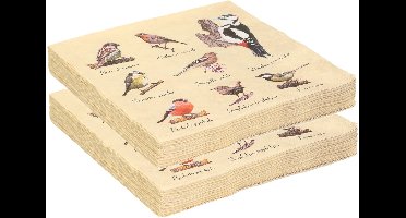 Servetten met vogels print - 40x - papier - 33 x 33 cm - tuinvogels - 3 laags