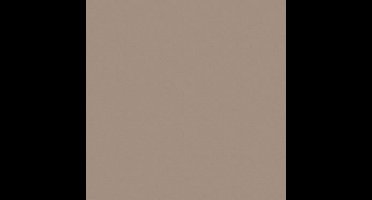 Folia fotokarton knutselpapier cappuccino 10 vellen 50x70 cm 300 gr.