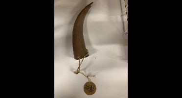 Decoratieve kunststof slagtand -hoorn- bruin