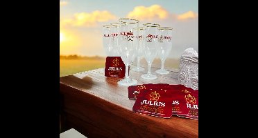 6 X Luxe Bierglas van JULIUS met 100 st bierviltjes