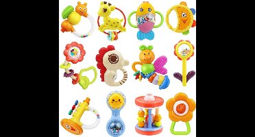 ApexArte® Speelgoed 1 Jaar - Kinderspeelgoed - Multi Kleur