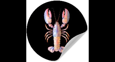 WallCircle® - Behangcirkel 30x30 cm - Muurstickers Kreeft - Roze - Zacht - Zwart - Muurcirkel woonkamer - Wandcirkel slaapkamer - Kamer decoratie zelfklevend - Muurdecoratie accessoires