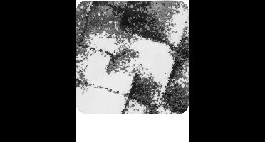 Dutch House Bidetmat Cannes - Bidetmat 60x60cm - Zwart - Antislip - Badmatten - Anti Slip Douchemat - Badkamer Mat - Snel Absorberend - Snel Drogende Badmat - Bidetmat - WC mat - Toiletmat voor hangend toilet