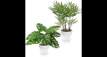 JGS ® Kunstplanten Set voor Stijlvolle Interieurdecoratie - Monstera en Areca in Elegante Witte Potten