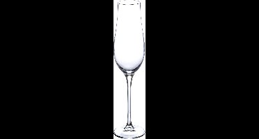 Secret de Gourmet Oriane Champagneglazen - Set van 6 stuks - Champagneglas Kristal