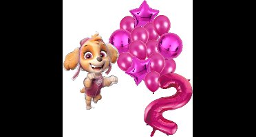 Paw Patrol Skye ballonnen pakket - 61x91cm - Folie Ballon set - Themafeest - Verjaardag - 2 jaar - Ballonnen - Versiering - Helium ballon