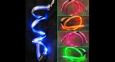 New Age Devi - LED-Lichtgevend \ Groen \ Hondenriem \ Looplijn