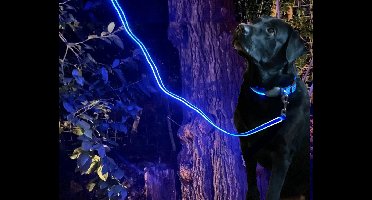 New Age Devi - LED-Hondenriem-Blauw