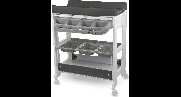 Bebeconfort Dolphy, bad- en verschoningsunit, mobiele 2-in-1-unit, vanaf de geboorte tot 12 maanden, 0-11 kg, Grey Mist