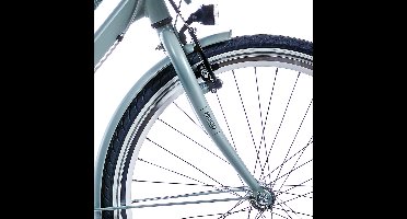 Alpina Voorvork 24 Mood silt green matt