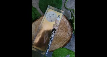 Pen Liefste Gastouder