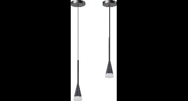 ETH Defender Hanglamp mat zwart excl. 1xGU10