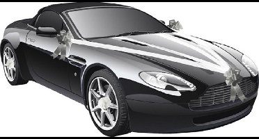 Chaks Trouwauto decoratie lint - wit/ zilver - just married - bruiloft benodigdheden