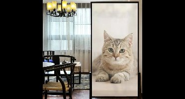 Raamfolie poes - kat - 60 x 120 cm