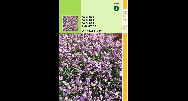 2 stuks - Hortitops - Aubrietia Hybrida Grfl.Whitewell Gem