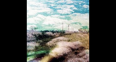 The World Is A Beautiful Place & I - Always Foreign (LP)