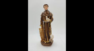 Heilige Franciscus van Assisi beeldje / Polystone 21 cm / katholiek