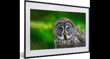 PosterMonkey - Poster - Fotolijst - Vogel - Uil - Dieren - 60x40 cm - Poster uil - Poster vogels - Foto lijst - Poster kader - Slaapkamer - Frame