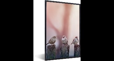 PosterMonkey - Poster - Fotolijst - Vogel - Mus - Paal - Lucht - 20x30 cm - Poster vogels - Foto in lijst - Poster natuur - Poster in lijst - Woonkamer - Kader