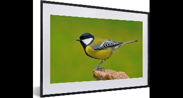 PosterMonkey - Poster - Fotolijst - Vogel - Koolmees - Groen - Dieren - Foto in lijst - Kader - 60x40 cm - Poster vogels - Poster dieren - Wanddecoratie - Posterlijst - Posters