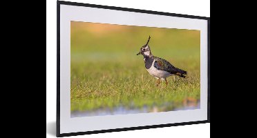 PosterMonkey - Poster - Fotolijst - Vogel - Natuur - Gras - Dieren - 60x40 cm - Posterlijst - Kader - Poster vogels - Frame poster - Poster met lijst - Poster natuur