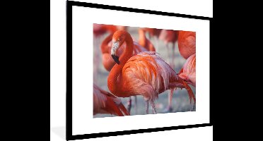 PosterMonkey - Poster - Flamingo - Vogel - Dieren - Roze - Fotolijst - 80x60 cm - Poster flamingo - Posterlijst - Frame poster - Poster dieren - Woonkamer