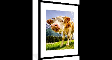 PosterMonkey - Poster - Fotolijst - Koeien - Gebergte - Alpen - Natuur - Dieren - 60x80 cm - Posters - Foto met lijst - Poster met kader - Poster koe - Posterlijst