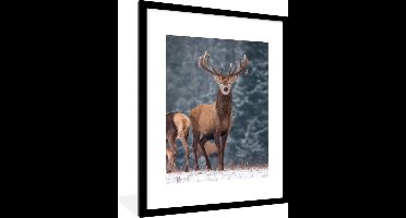 PosterMonkey - Poster - Fotolijst - Herten - Landschap - Dieren - Winter - Sneeuw - 60x80 cm - Kader - Poster met lijst - Frame poster - Poster hert - Poster dieren