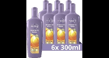 Andrélon Perfecte Krul Shampoo - 6 x 300 ml - Voordeelverpakking
