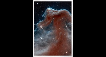 Horsehead Nebula Barnard 33 | Space, Astronomie & Ruimtevaart Poster | B2: 50x70 cm