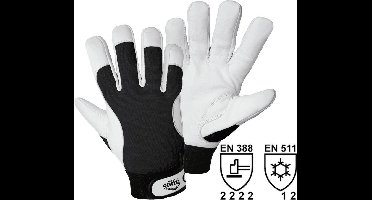 Leipold Doehle 1707-10 Montagehandschoen Nappaleer Maat (handschoen): 10, XL EN 397 Cat II 1 paar