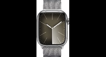 Apple Silver Milanese Loop - 41mm