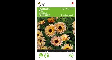 Buzzy - Zaden goudsbloem touch of red buff 0.75 gram