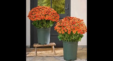 5 bosjes kunstmargrietjes - voor buitendecoratie - nepbloemen - boeket kunstbloemen - voor buitenplantenbak - UV-bestendige zijden bloemen voor buiten, voordeur, veranda, terras, oranje