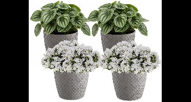 Prosperplast bloempot / plantenpot - 4x - kunststof - steengrijs - Dia 15.7 cm en hoogte 13.8 cm - binnen/buiten