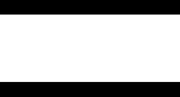 SMART Blades SL PRO Invalzaagblad - Voor Oscillerende Multitools - Fijne Vertanding - 63mm - 10 stuks