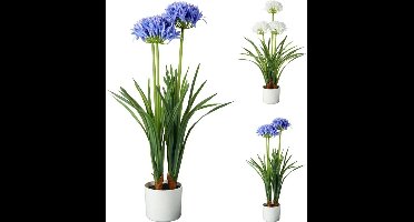 Kunstplant Agapanthus 50x80 cm Blauw/Wit Verschillende Uitvoeringen