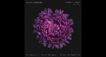 Purple/Black Vol. 1