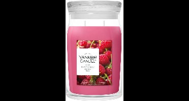Yankee Candle - Red Raspberry Large Jar Geurkaars - 90 branduren - twee lonten